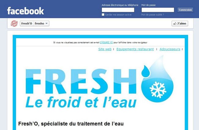 http://www.siteweb-creations.com/wp-content/uploads/2012/05/Fresh-O-pagepro-facebook.jpg