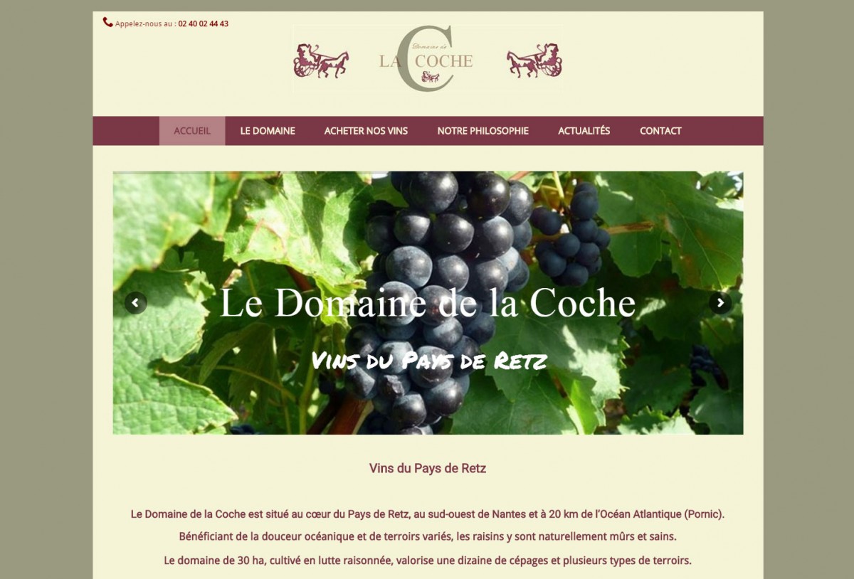 Création site domaine viticole Sainte Pazanne 44