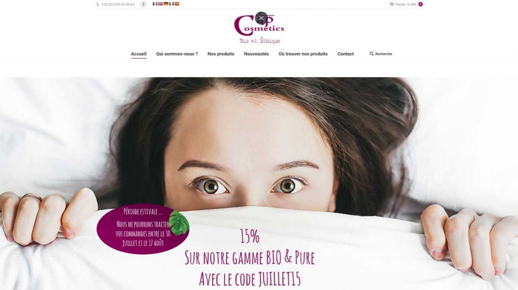 Création site internet à Saint Herblain création site internet Saint Herblain